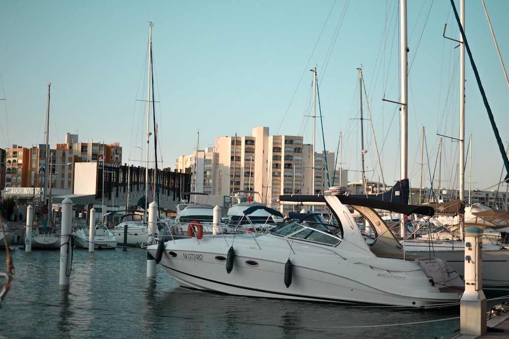 two white powerboats on body of water