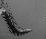 A curved skeletal structure that resembles a vertebral column extends across the image, hanging against a textured background. The monochrome color scheme emphasizes the intricate details of the bones, creating a dramatic visual contrast.