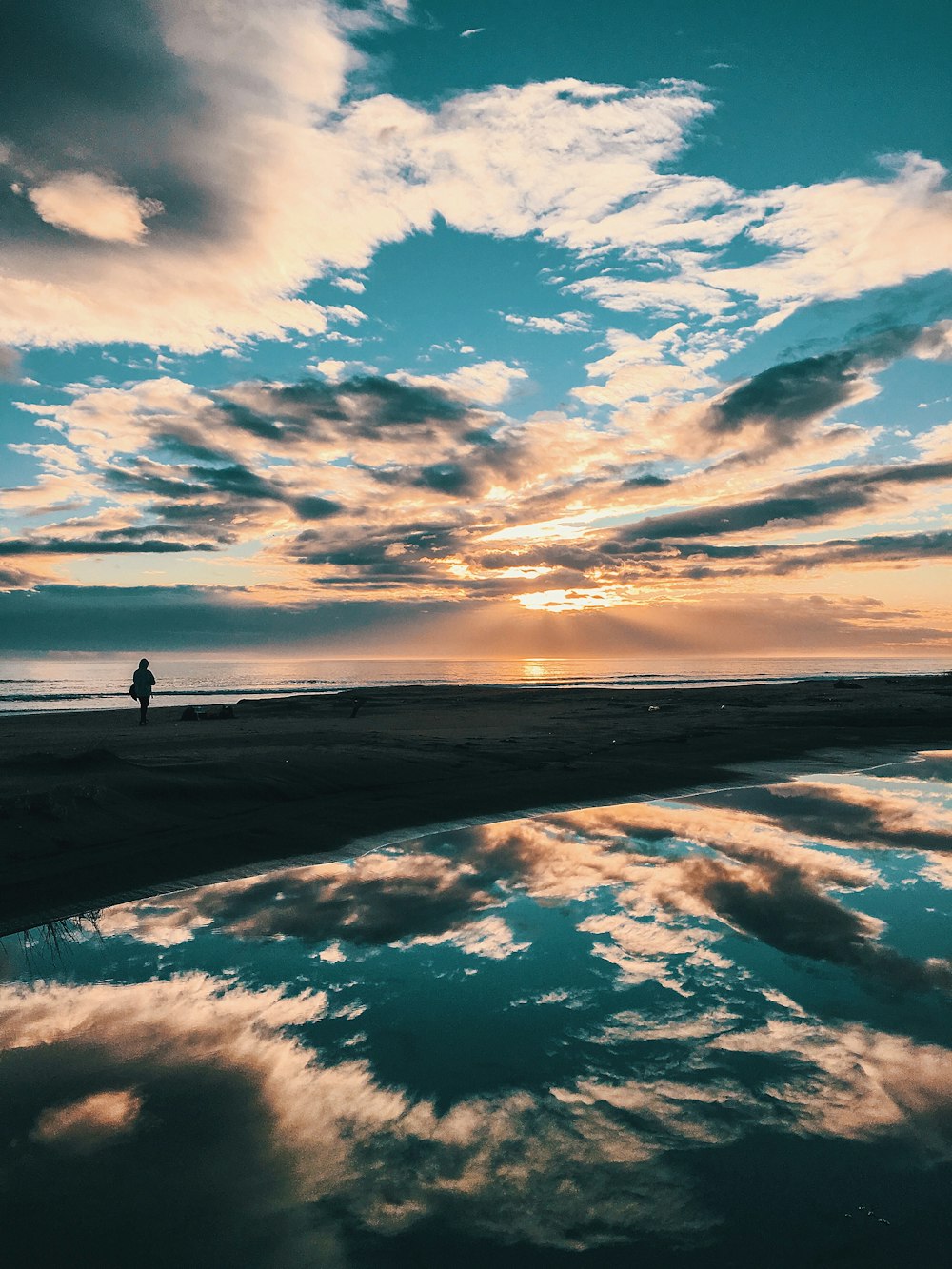 person standing on brown sand bar