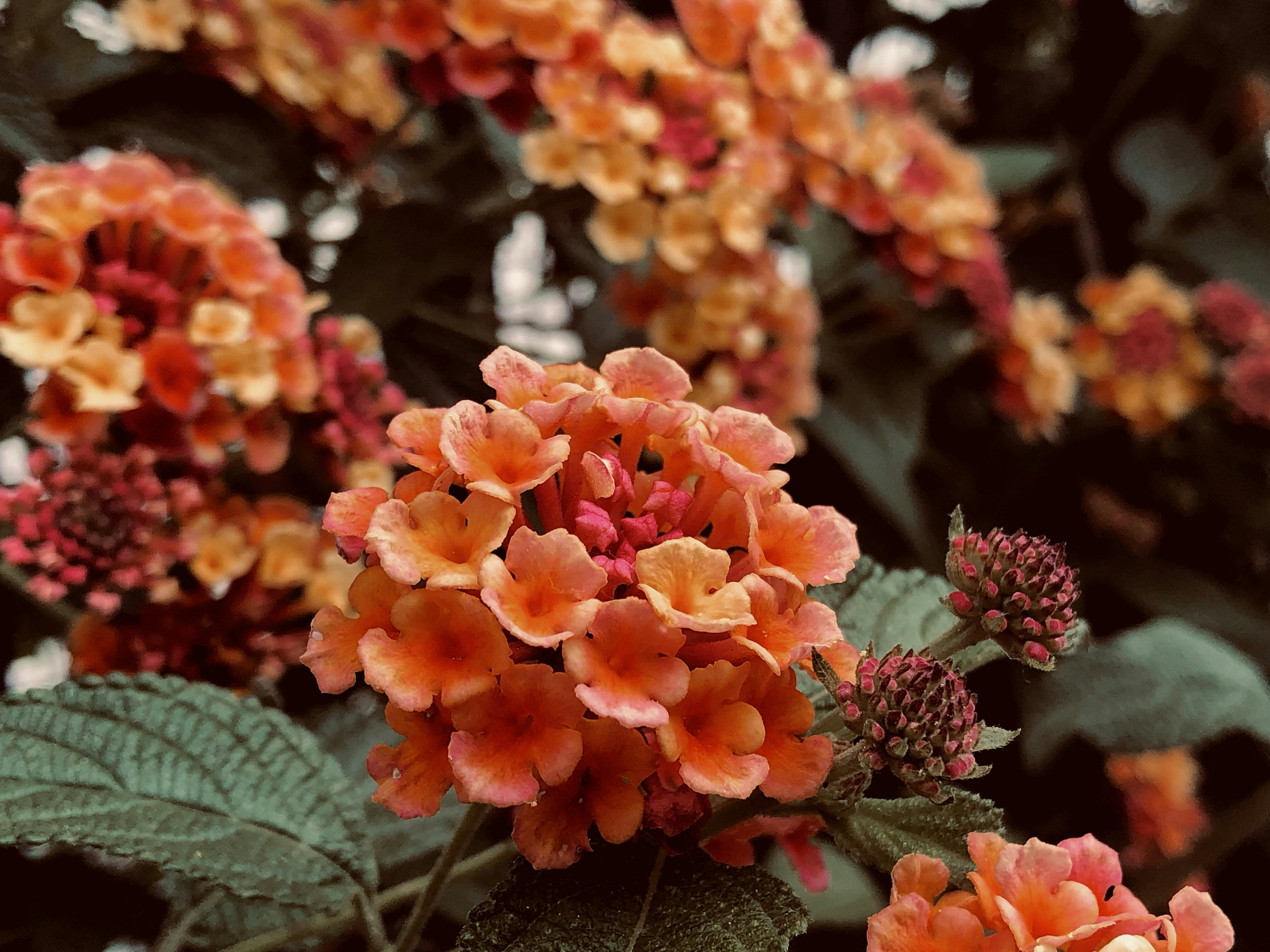 Photo by anevidaurrazaga