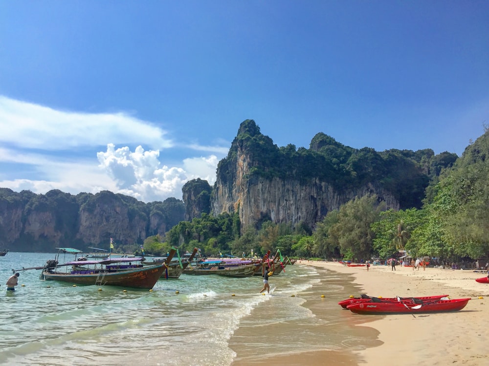 people near seashore viewing different boats and beach cliff under white and blue skiesa