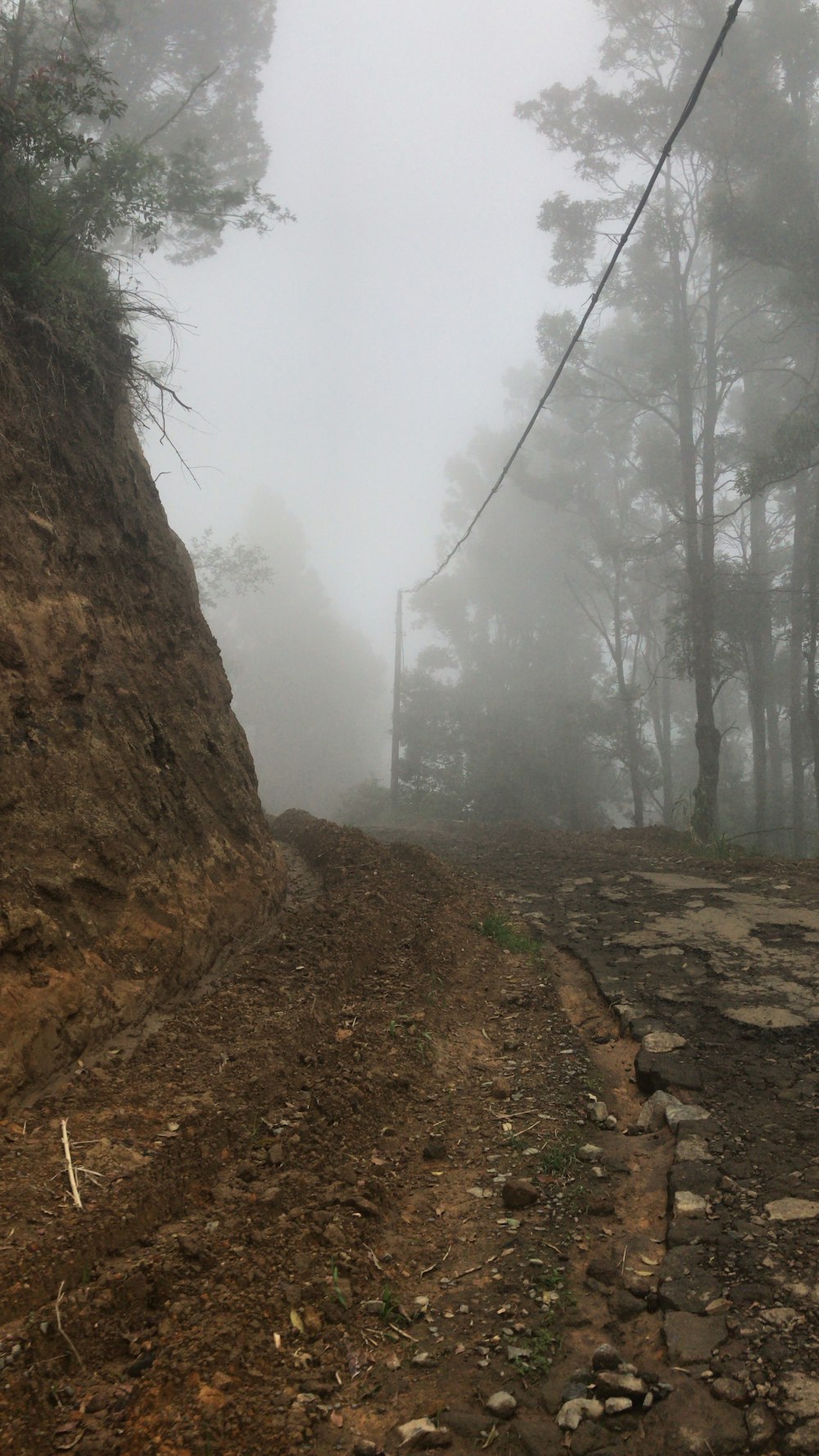 foggy dirt road