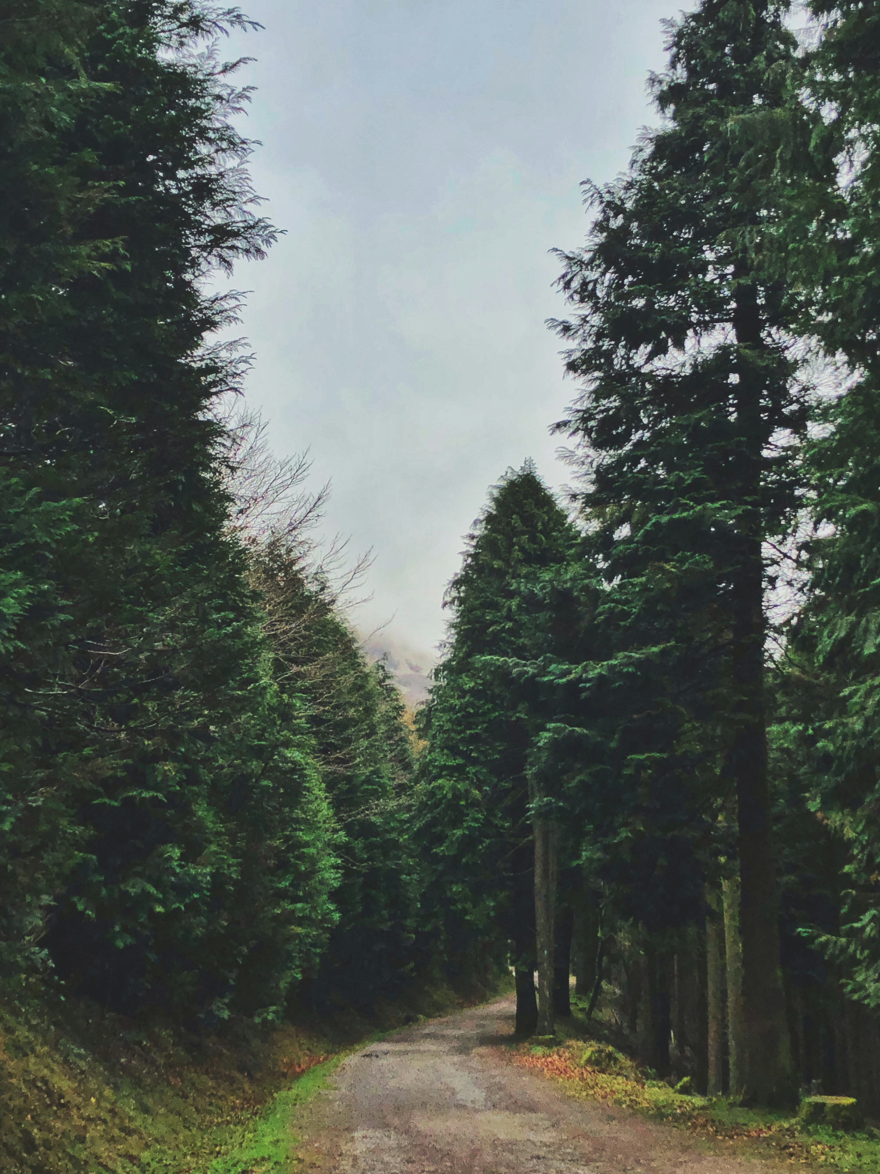 Photo by anevidaurrazaga