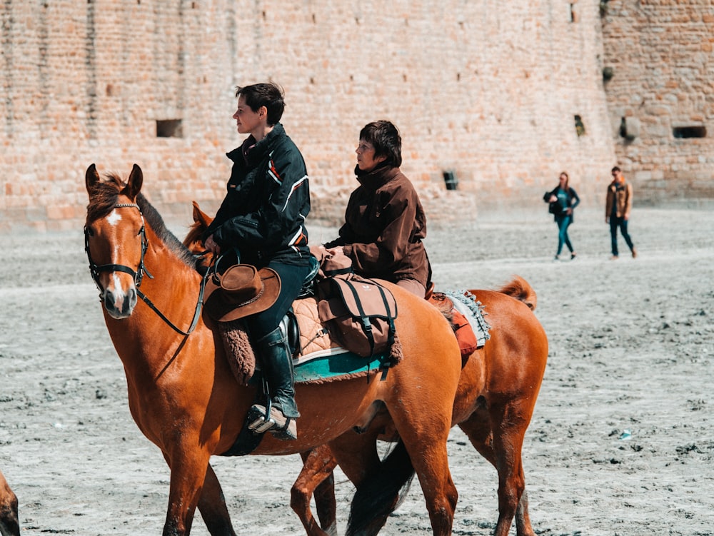 two men riding brown horses