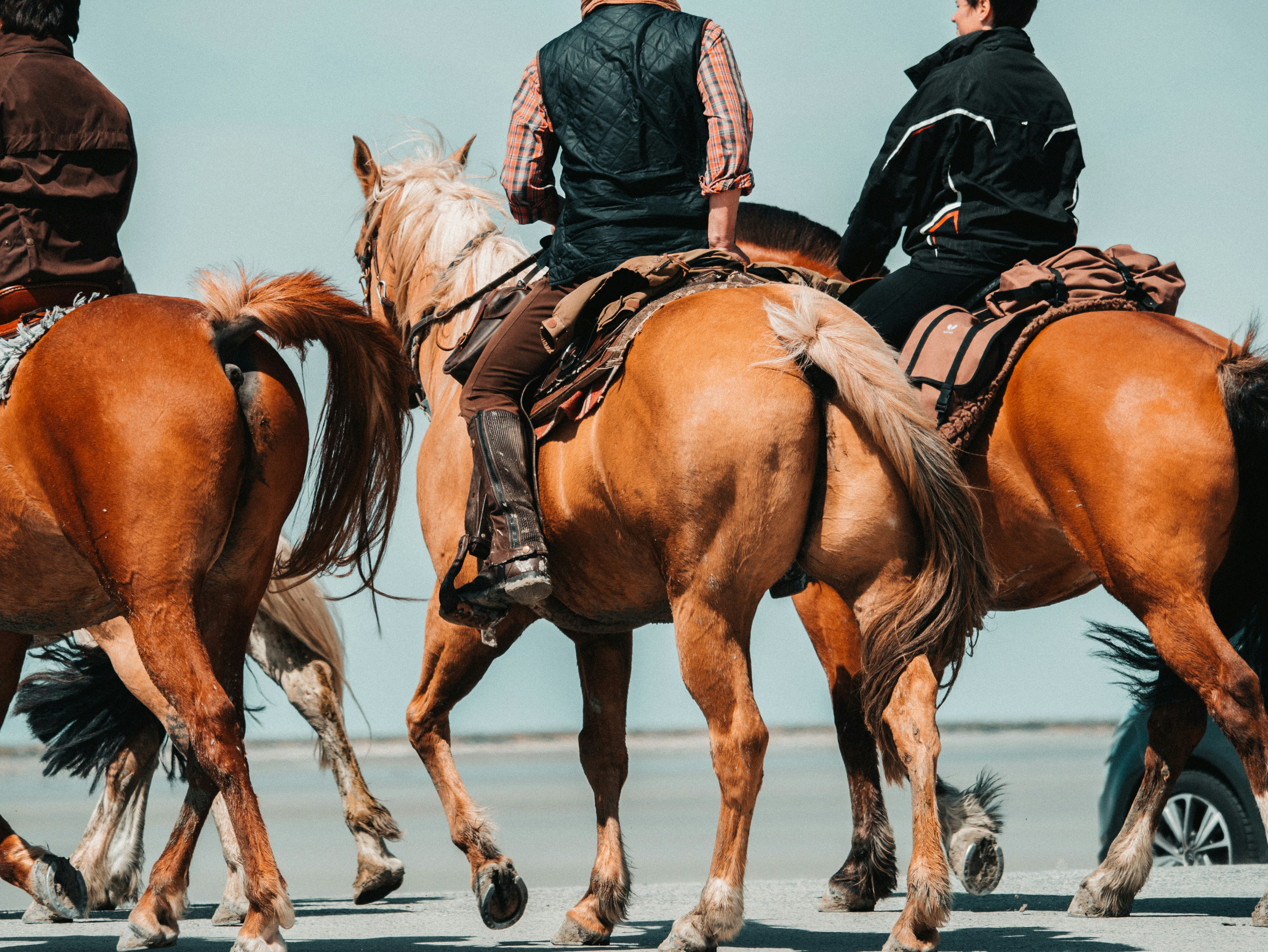 men riding horse