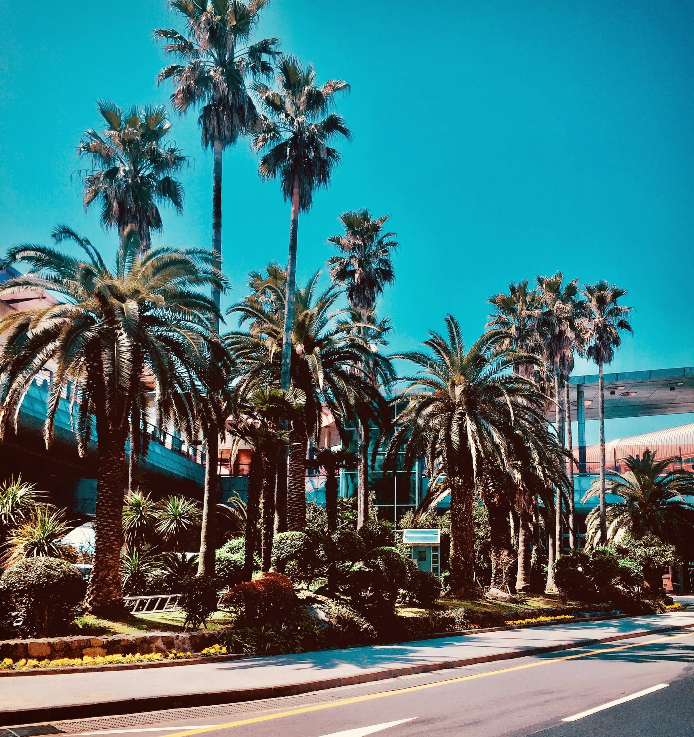 Kensington, California