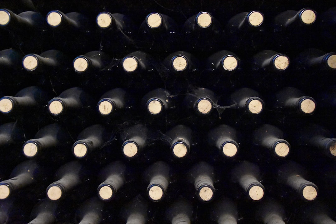 Din vej til den perfekte vinoplevelse – Din vinguide til at udvælge den rigtige vin