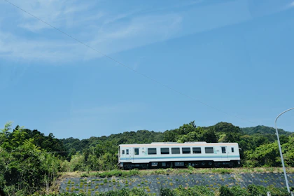 รถไฟท้องถิ่นวิ่งผ่านทุ่งเขียว