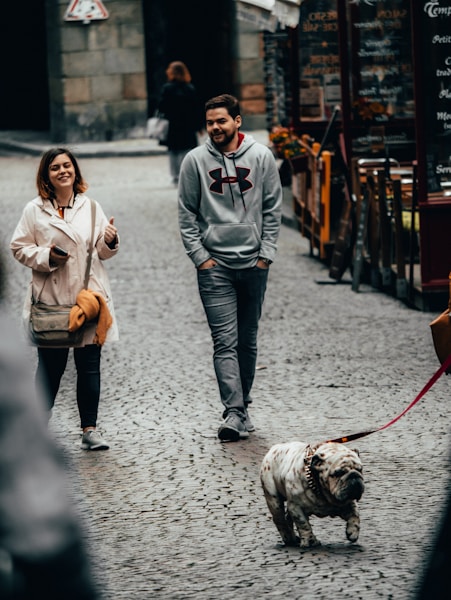 Lead Training: How to Stop Your Puppy Pulling on the Lead