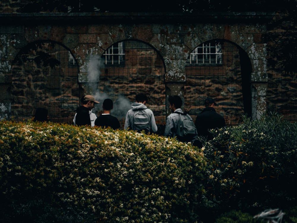 people near plants