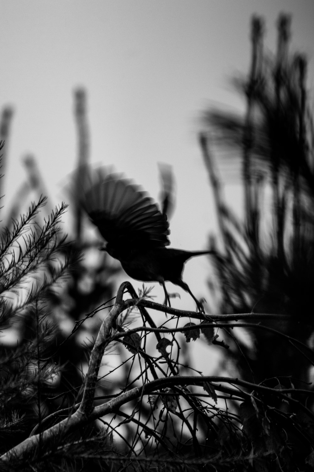 bird perched on twig