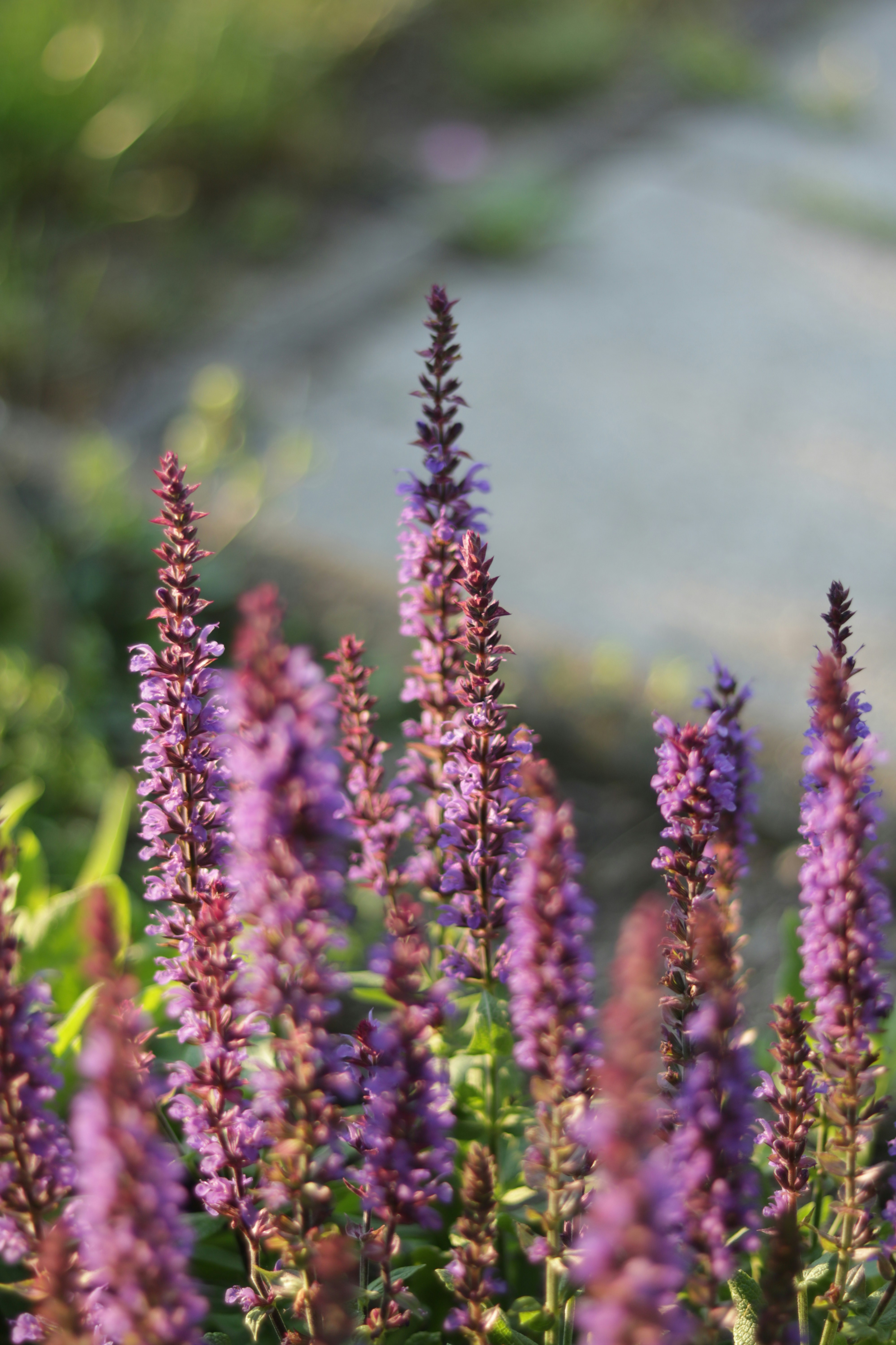 Photo by endless_summer