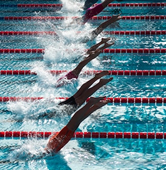 swimming competition during daytime