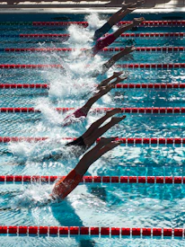 swimming competition during daytime