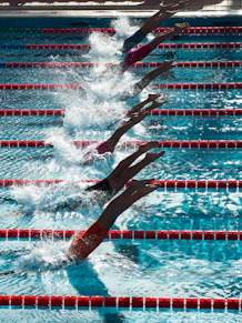 swimming competition during daytime