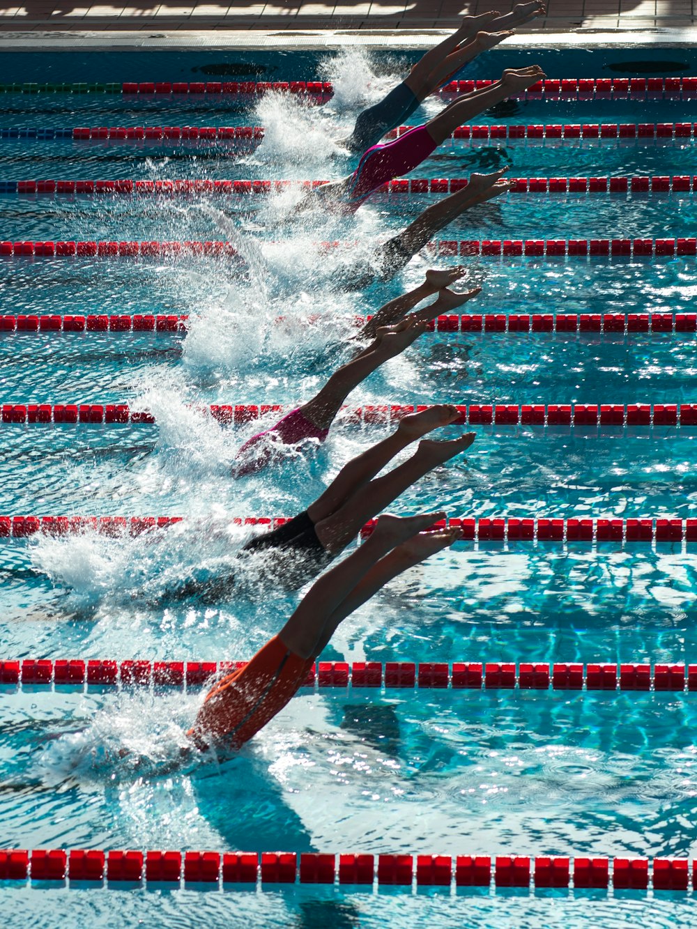 competição de natação durante o dia