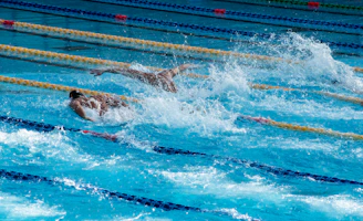 two men swimming doing butterfly strokes