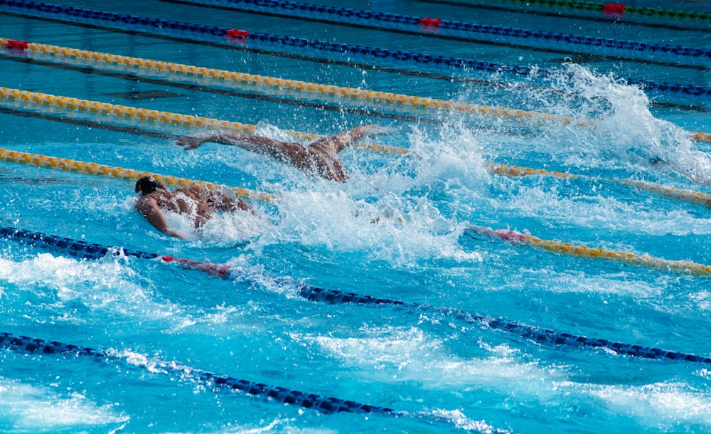 two men swimming doing butterfly strokes