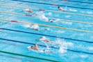 people in swimming pool