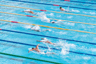 people in swimming pool
