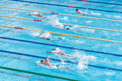 people in swimming pool