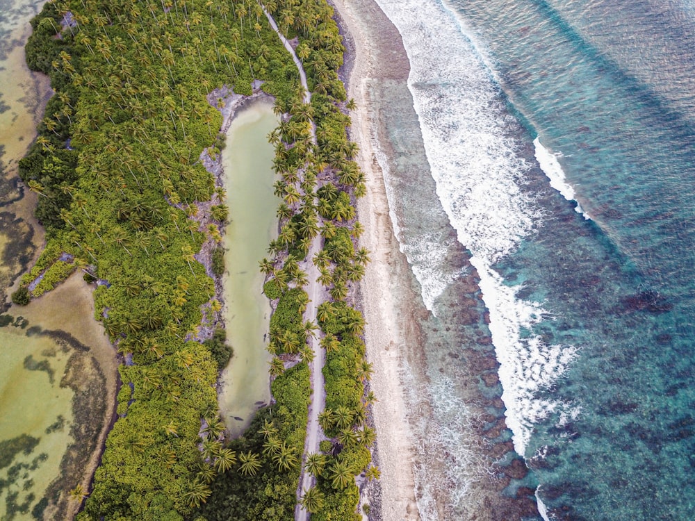 aerial photography of shore