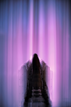 Shadowed figure of Rudolf Steiner with deep black and purple hues blending into the background.