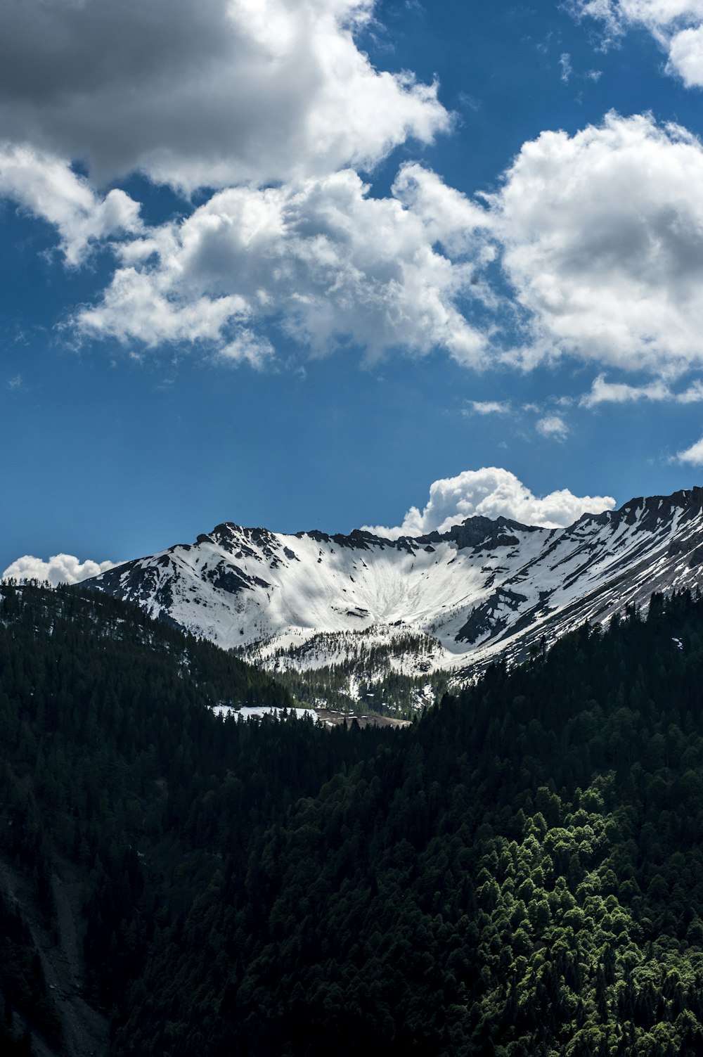 gray and white mountain