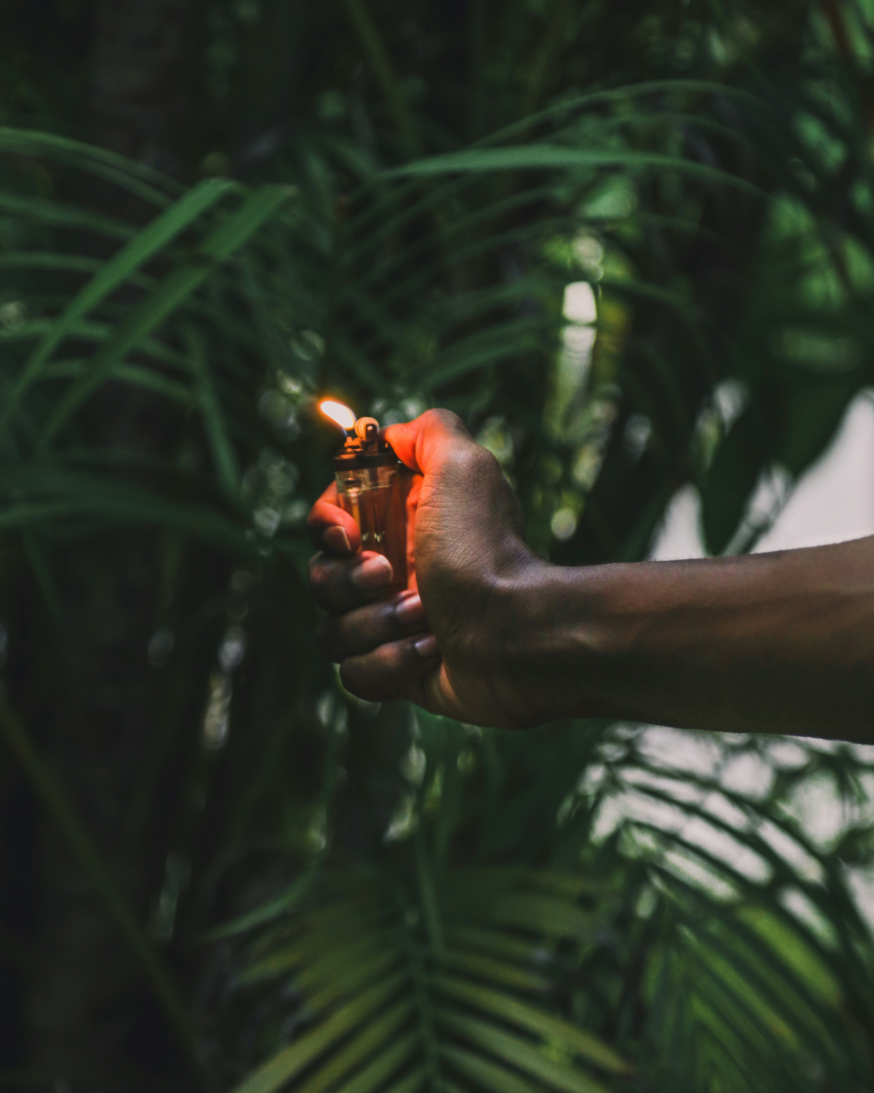 Photo by mohamed_lammah