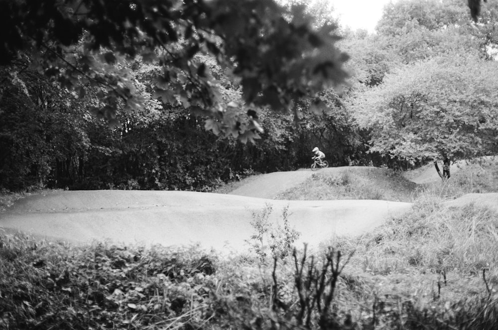 grayscale photo of person riding bicycle surrounded with trees