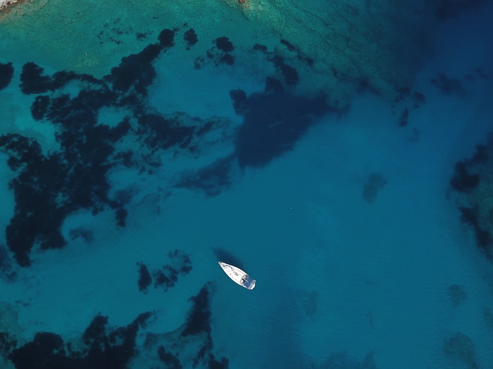 Vista aerea del kayak bianco sullo specchio d'acqua