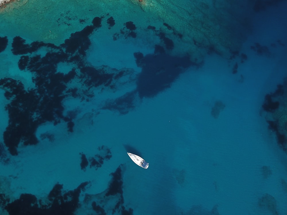 Luftaufnahme eines weißen Kajaks auf einem Gewässer