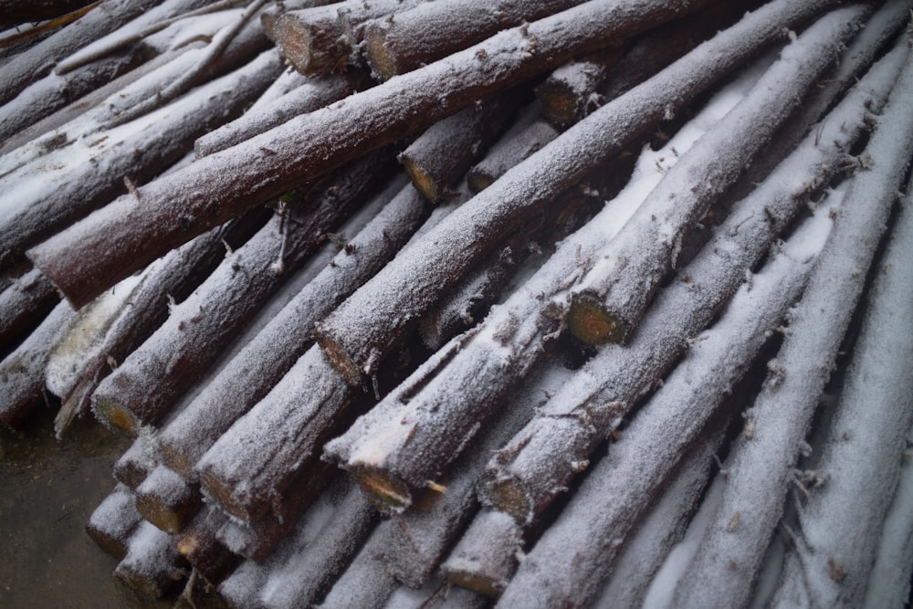a pile of logs sitting on top of snow covered ground