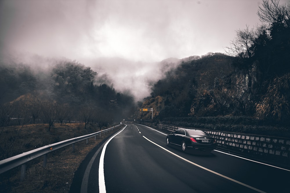 black sedan on road between lined trees