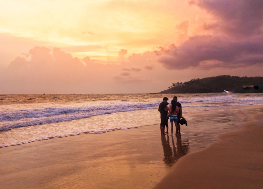 people on seashore