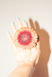 Close-up of a manicured hand holding a flower with freshly painted nails