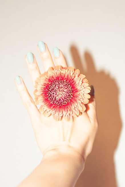 Close-up of a manicured hand holding a flower with freshly painted nails