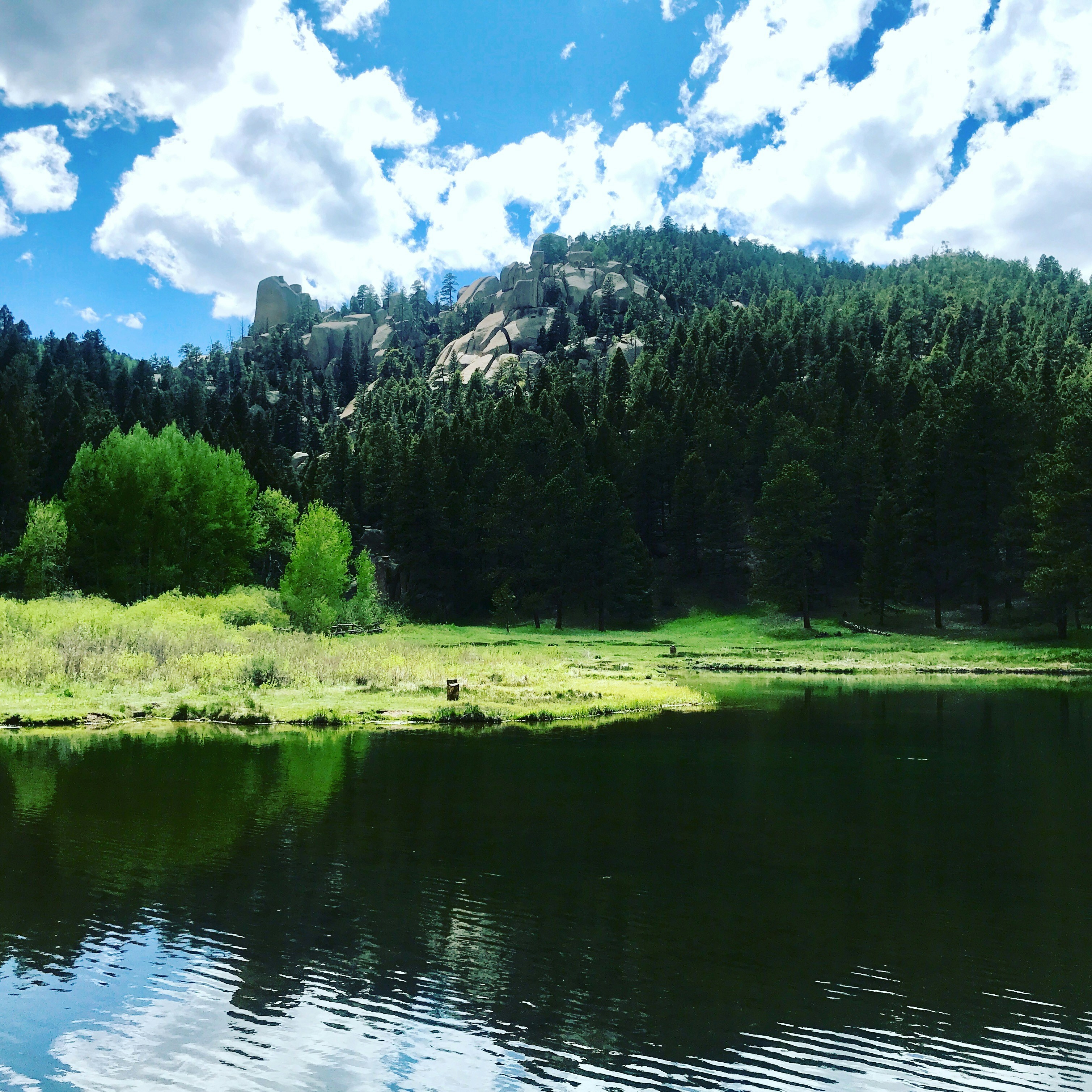 Photo by bytewiseapps_com