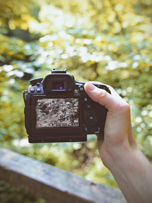 A high-quality download preview showing a clean, edited photo ready to save.