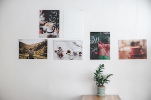 several portraits hanging on wall