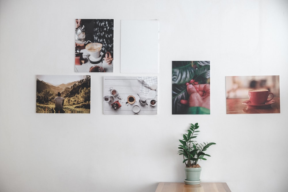 several portraits hanging on wall