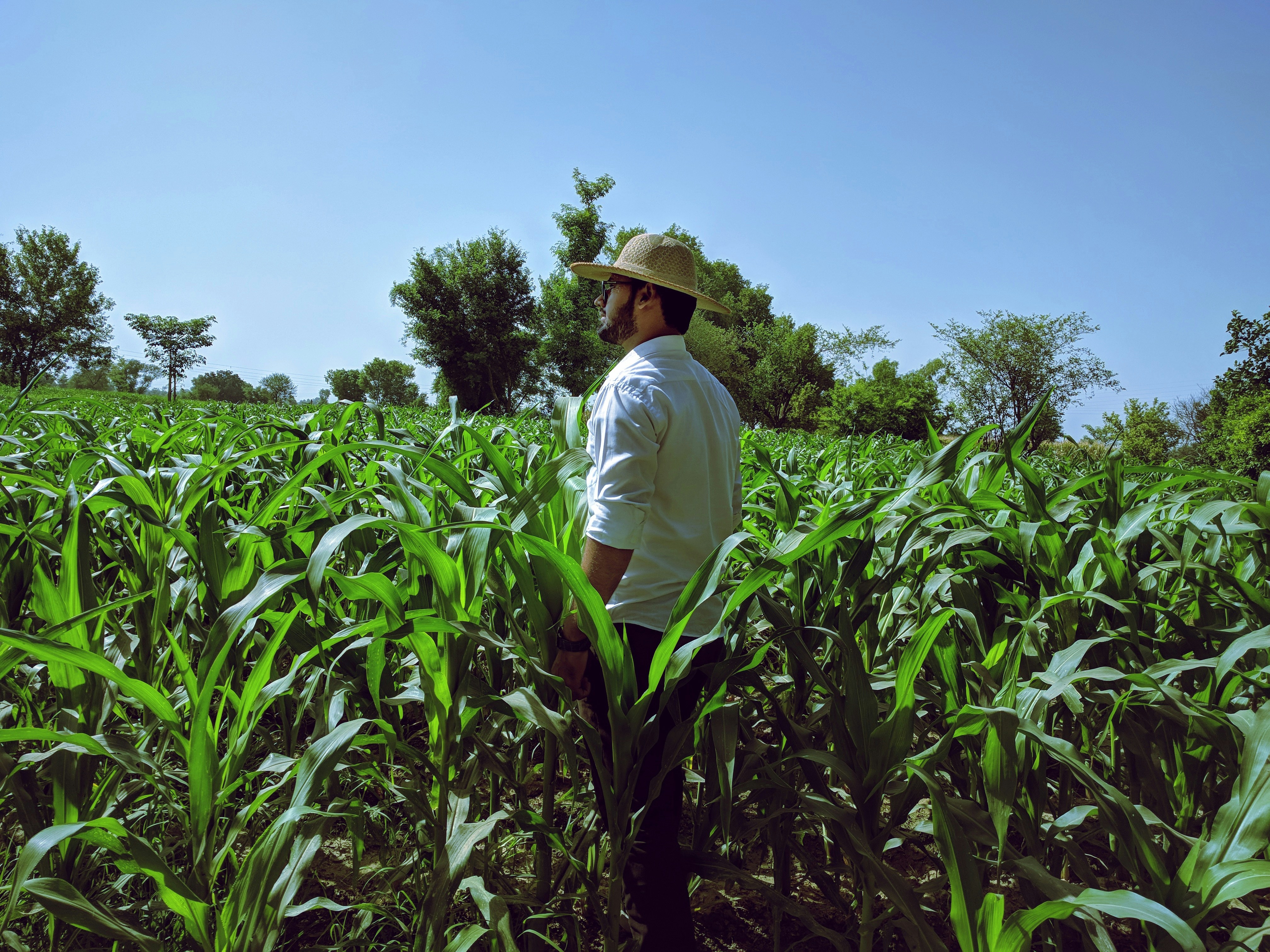 Cultivating Change: How Latino Students Embrace Sustainable Agriculture for a Greener Future