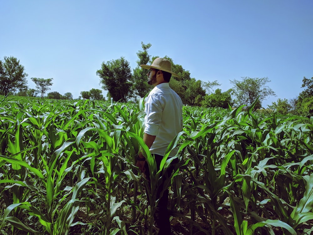 a man standing in a field of corn