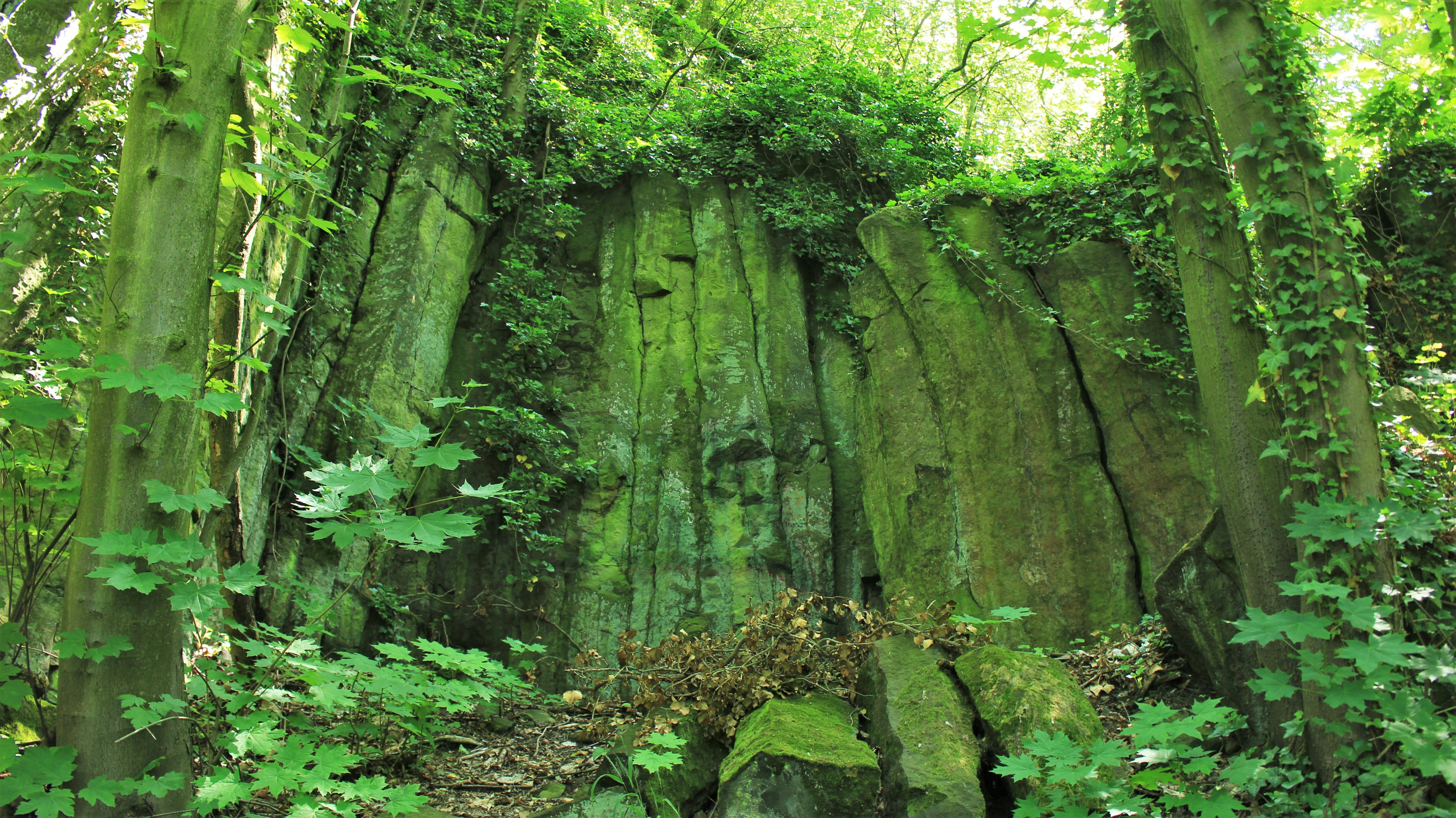 Photo by marjorylucabaxter