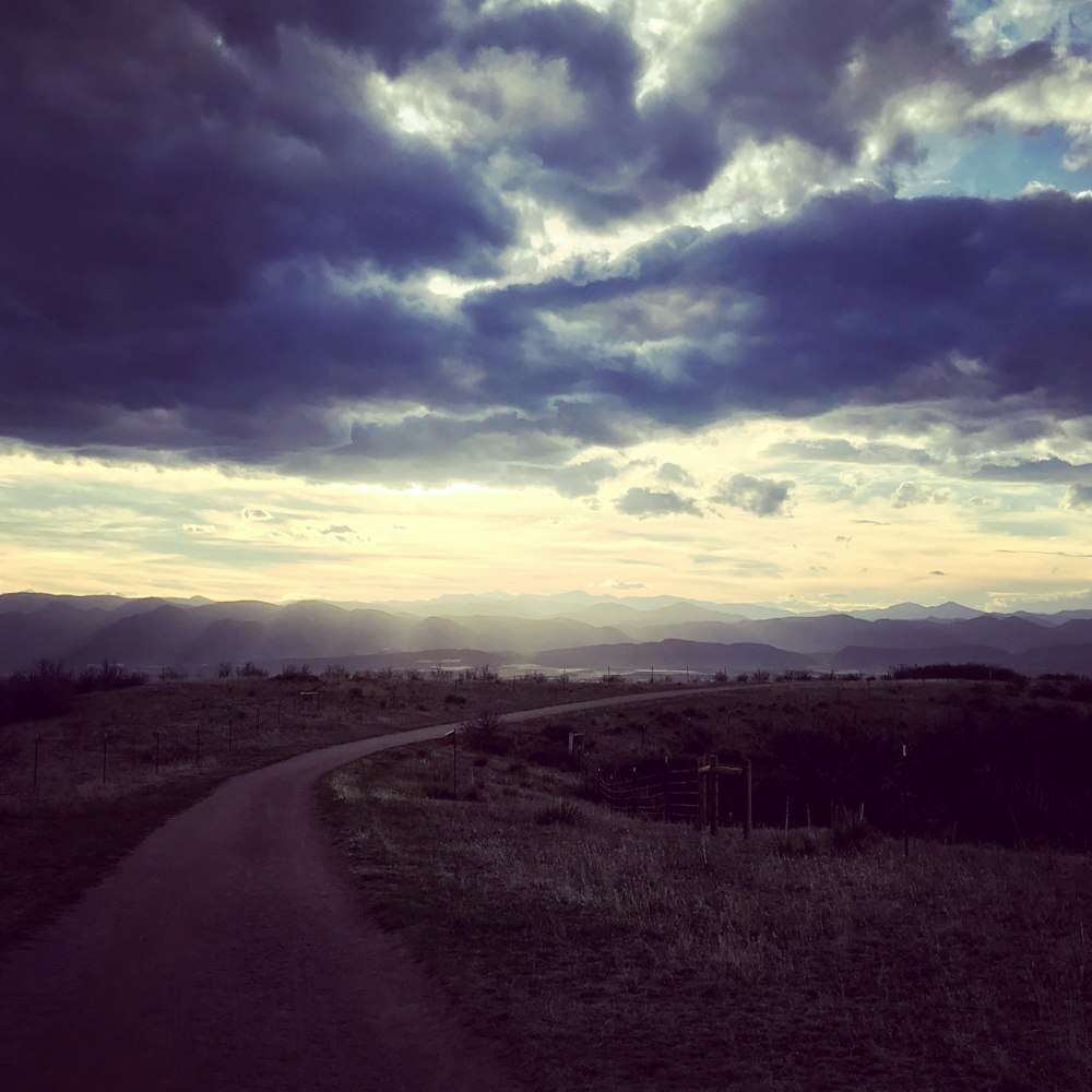 pathway near grasslands under white clouds