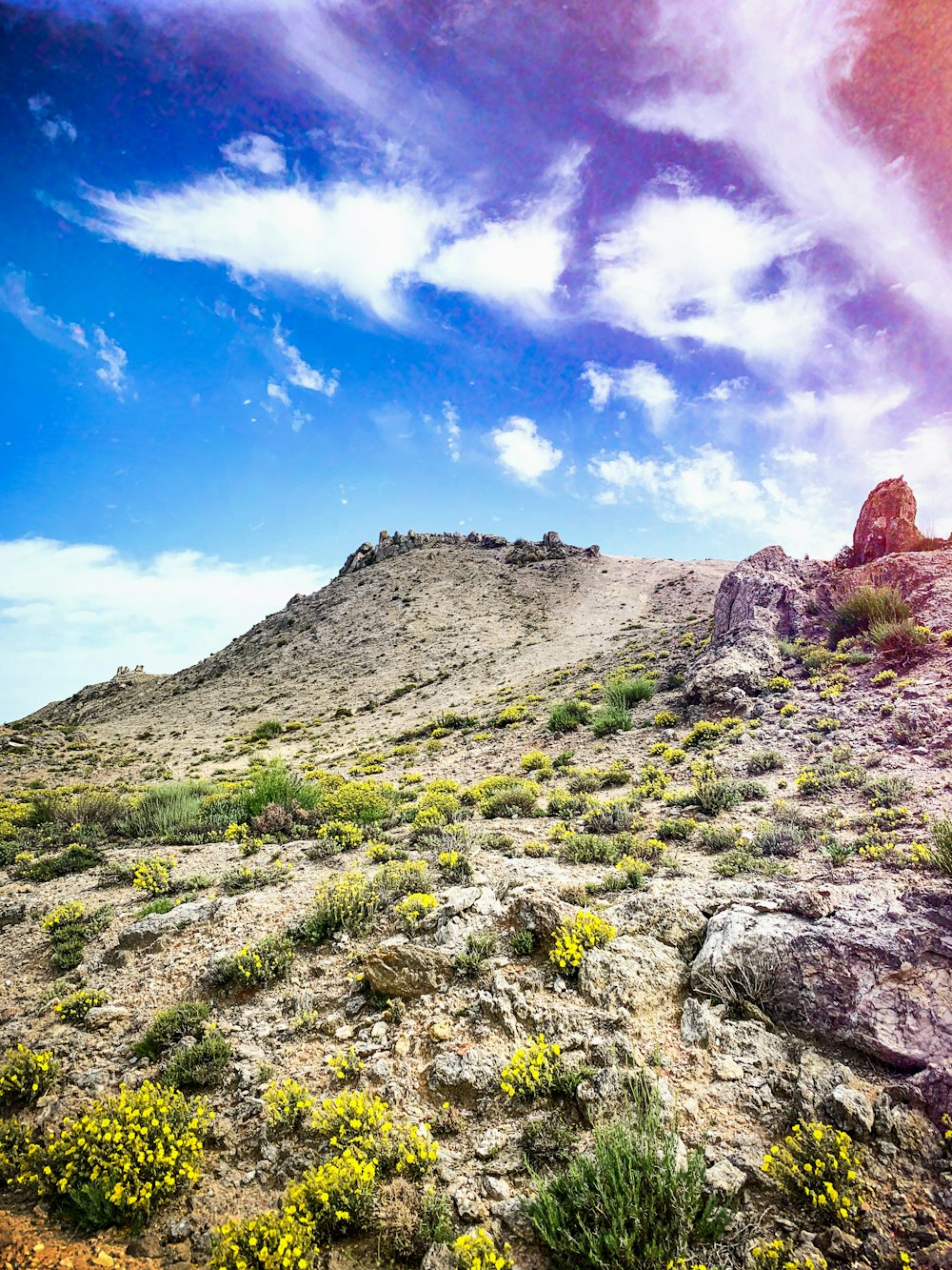 hill during daytime