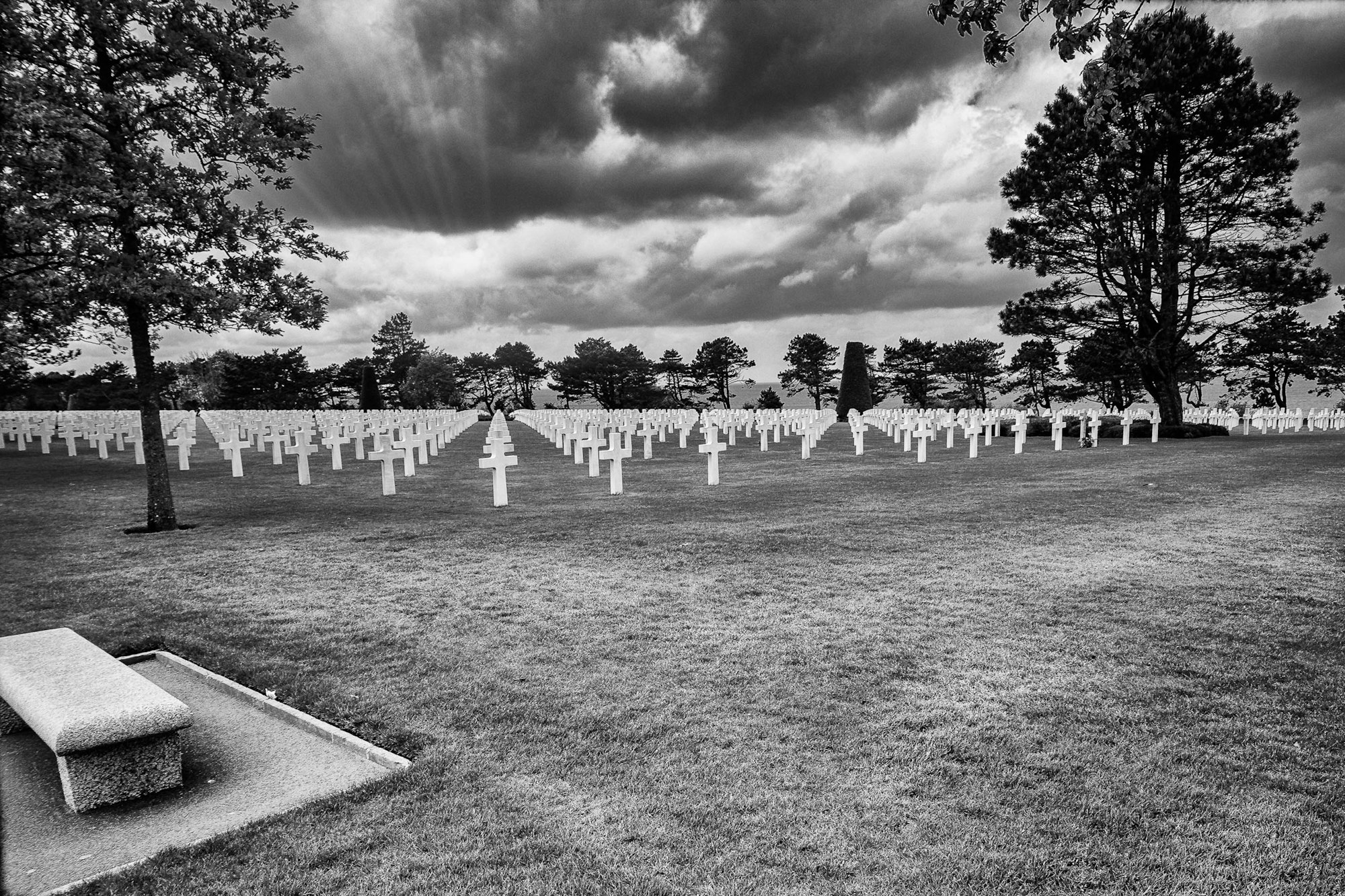 What Was The Famous African American Infantry That fought In World War II?