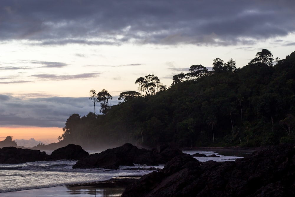 boulders in front of trees under cloudy sky