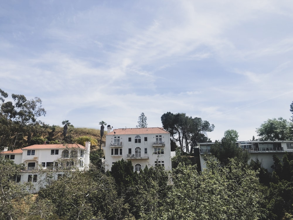 aerial photography of building