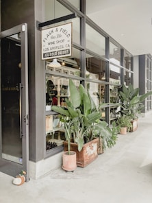 green-leafed plants outside store front